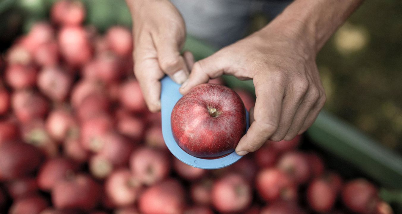 apple-in-hands