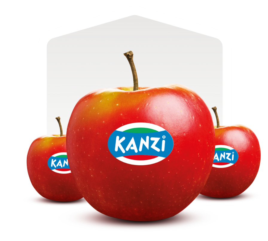 kanzi