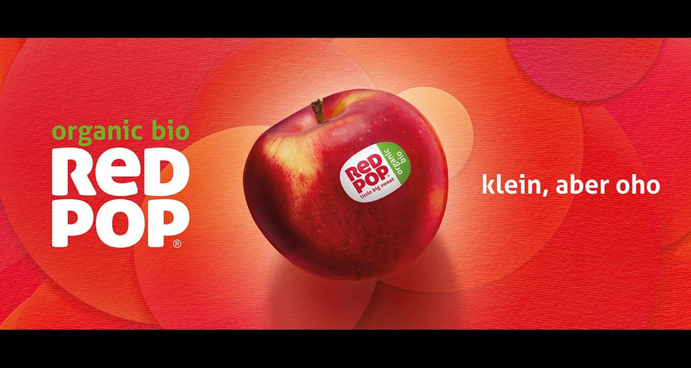 redpop-header-website-1352-x-569px-bio-de