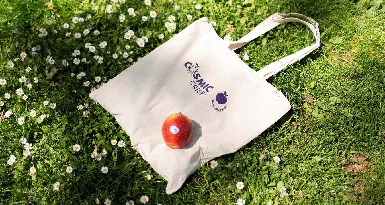 sampling-madrid-cosmic-crisp-1