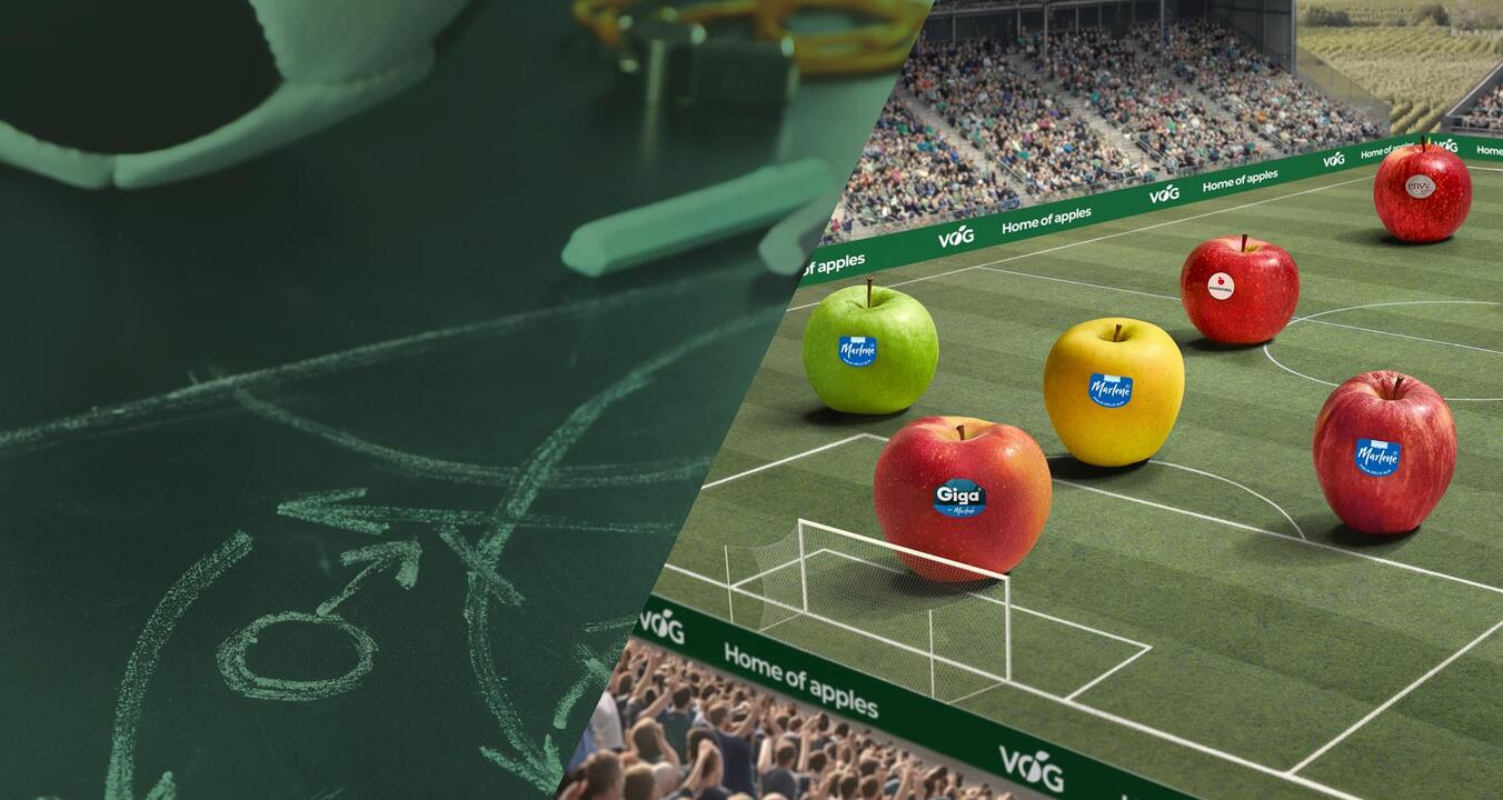 vog-football-1