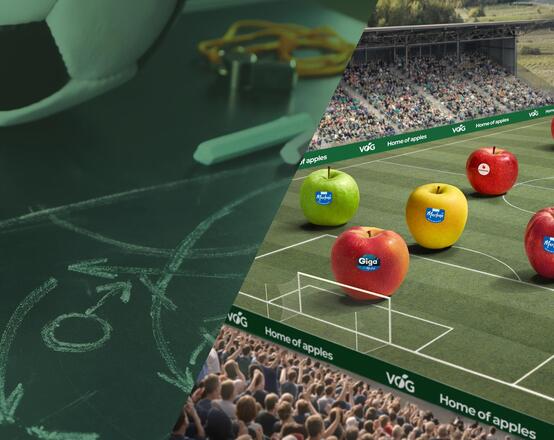 vog-football-1