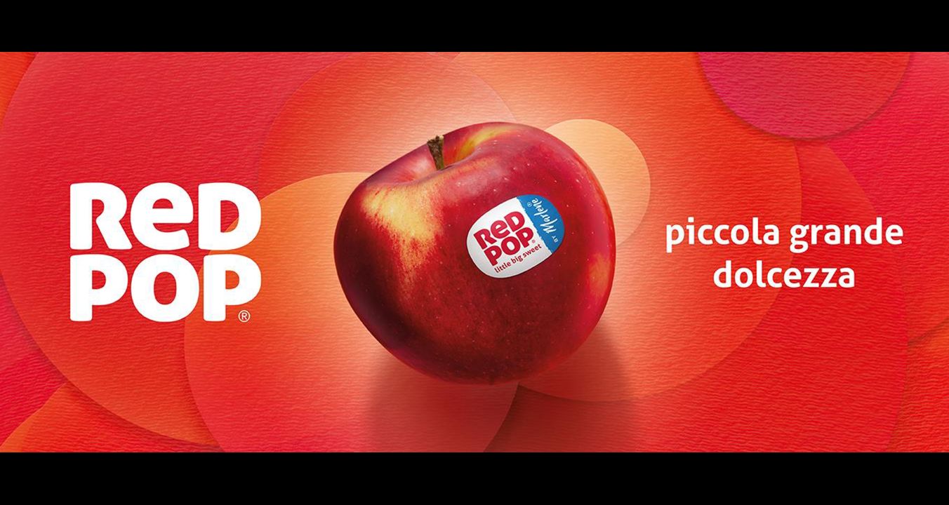 redpop-header-website-1352-x-569px-ip-it