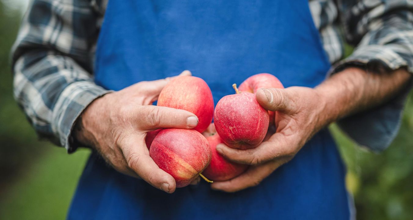 brands-hero-suedtirol-apfel