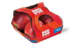 redpop-blitz-4er-145