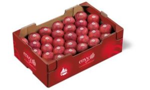 envy-40-x-60-dl