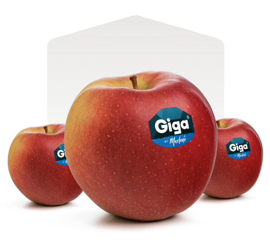giga