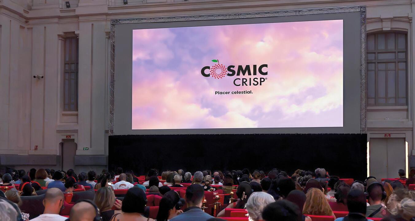 cosmiccrisp-madrid26-060