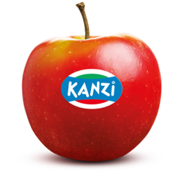 kanzi