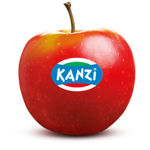 kanzi