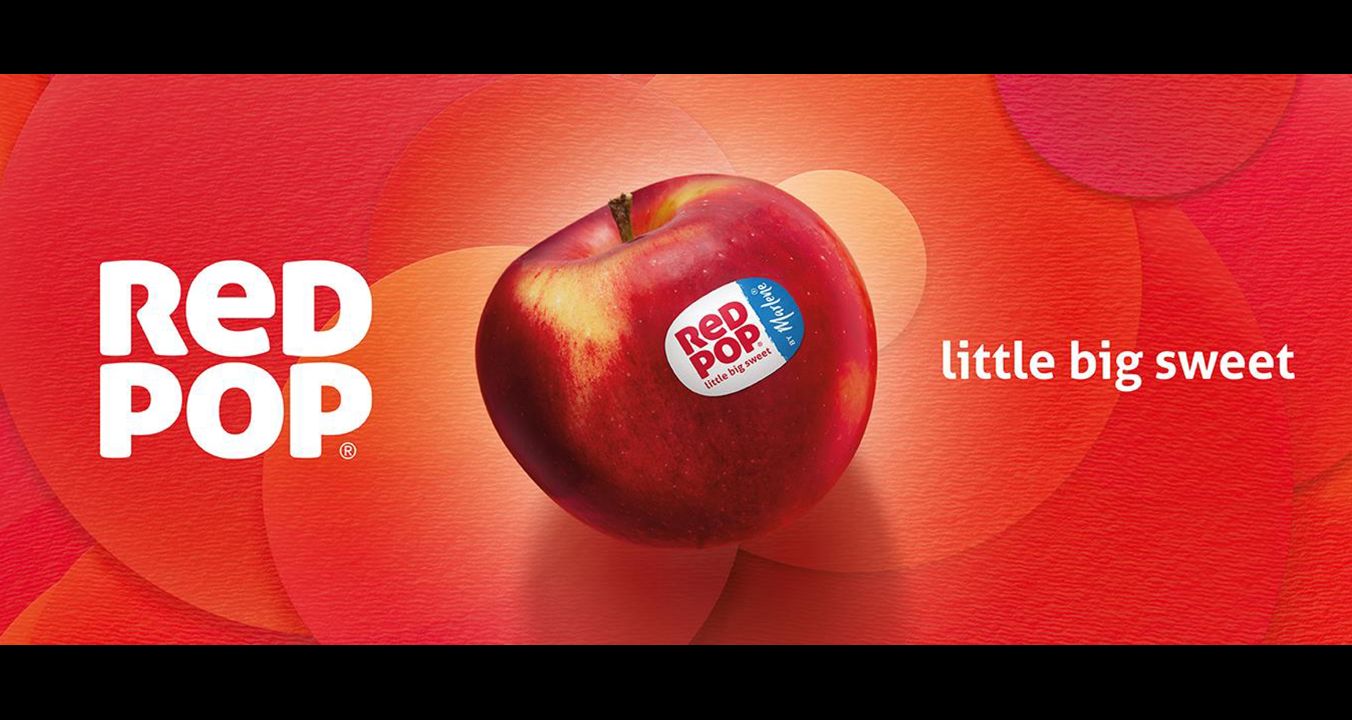 redpop-header-website-1352-x-569px-ip-en
