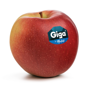 giga