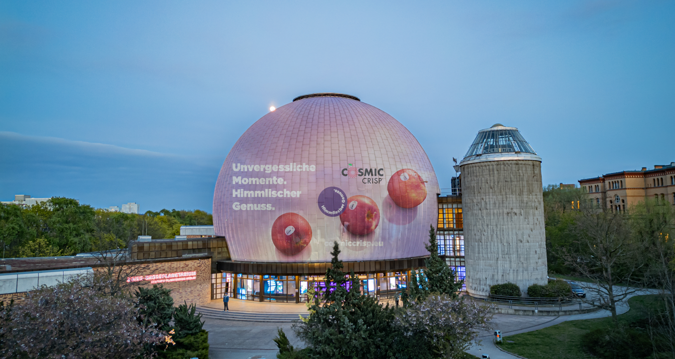 cosmic-crisp-berlin-goggi-visuals-1