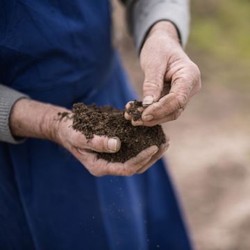 box-agricoltura-biologica