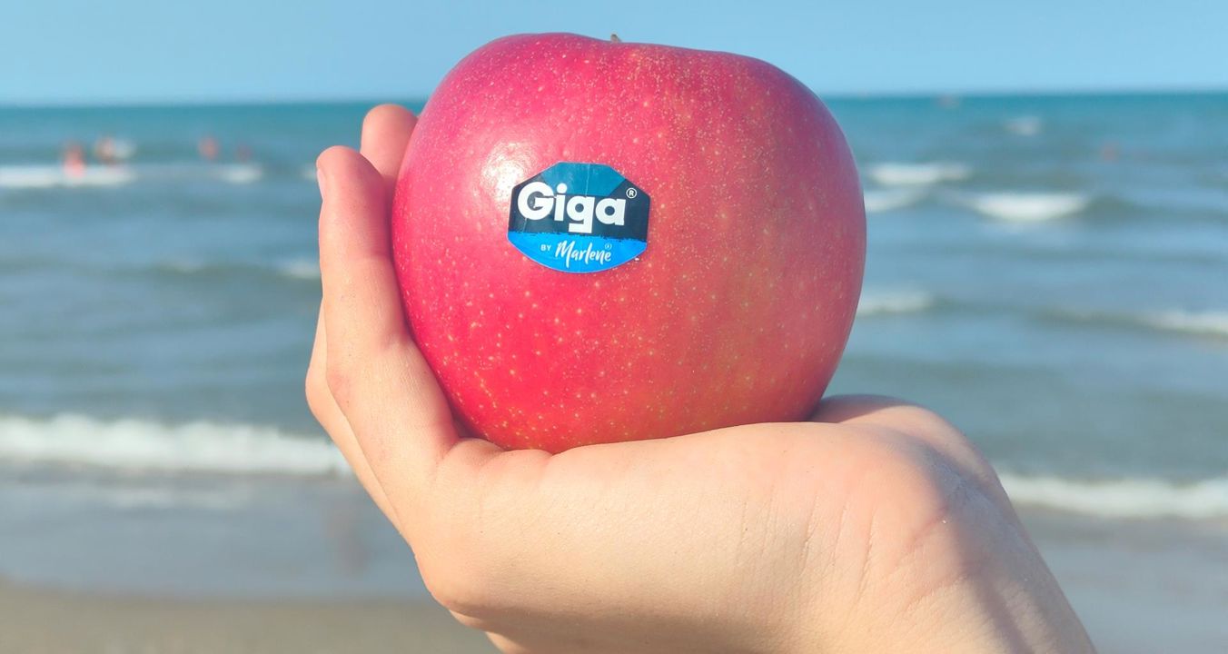 giga-3