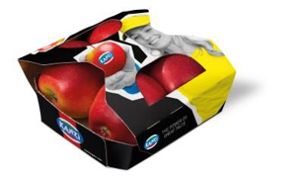 kanzi-4er-blitz-sport