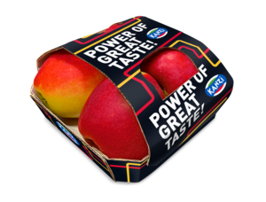 kanzi-4er-blitz-pogt-2025