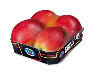 kanzi-4erfoodt-pogt-2025