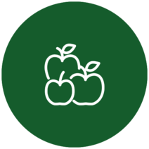 apfelsorten