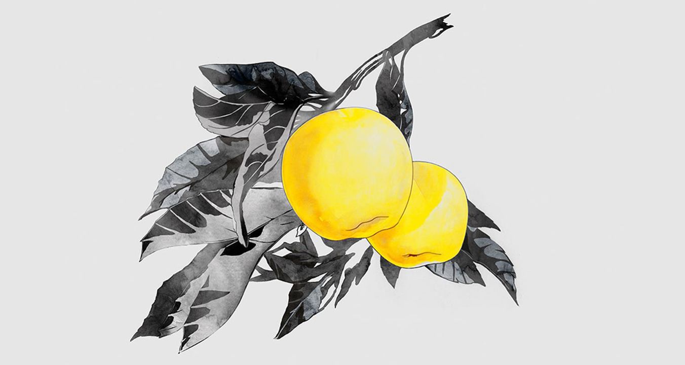 brands-hero-yello