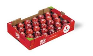 redpop-40-x-60-el-bio