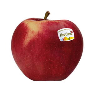 packshot-civm49-g-g-a