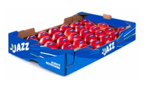 jazz-7kg