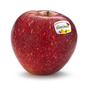 sq159-gross