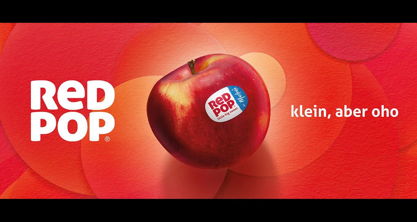 redpop-header-website-1352-x-569px-ip-de